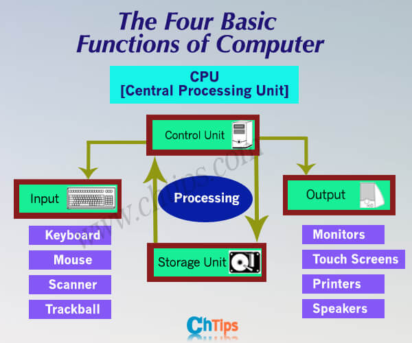 What Are The Four Basic Functions Of Computer System 